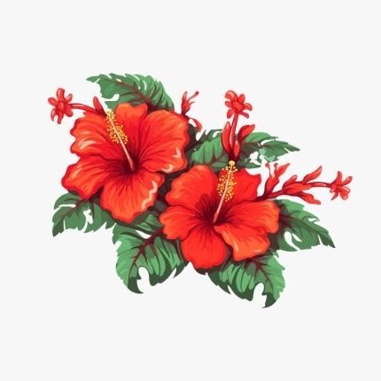flowers herbs jadi butiyan