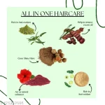 Valioso Amla, Reetha, Shikakai, Hibiscus And Bhringraj Powder for Hair Growth 50 Gms Each Combo (Pack of 5) - Image 2